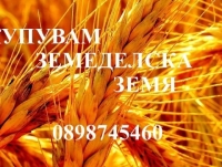 Нива, Използваема нива, Полска култура, Посевна площ,  (купува) в Бургас, Руен