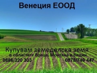 Нива, Използваема нива, Земеделска територия, Полска култура, Посевна площ,  (купить) 