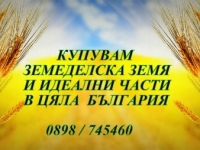 Нива, Използваема нива, Полска култура, Посевна площ,  (купува) в Видин, Димово
